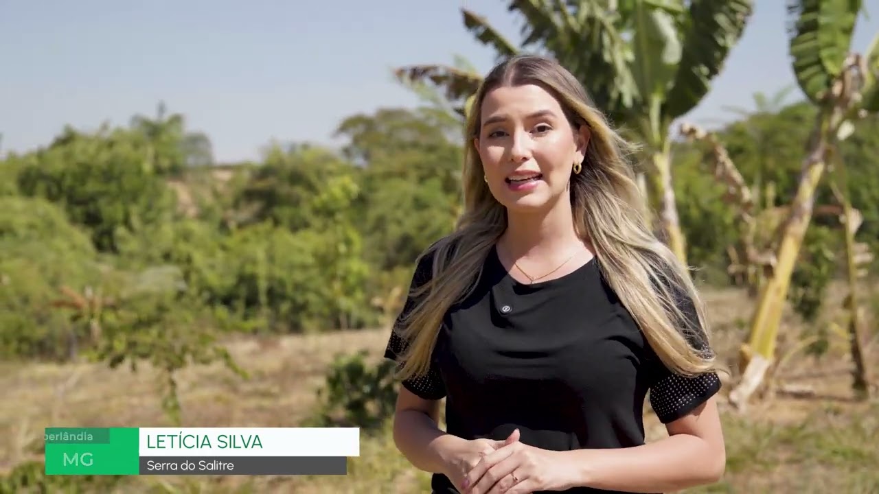 SISTEMAS AGROFLORESTAIS: ESTRATÉGIA CONTRIBUI PARA MITIGAÇÃO CLIMÁTICA NO CERRADO MINEIRO