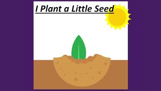 I Plant A Little Seed Visuals
