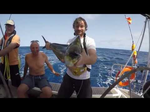 ARC 2017 - Segelyacht Estrella