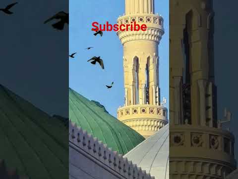 MashAllah😍#makkahmadinah #viralvideo #trendingshorts #ytfatma #ytshorts #beautiful #subscribe24