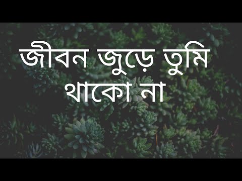Jibon Jure Tumi Thakona - Nancy Habib (Bengali Song)