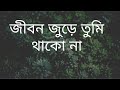 Jibon Jure Tumi Thakona Nancy Habib Bengali Song