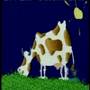 Sesame Street How Andy Fritz Ate The Sun
