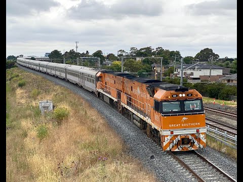 A morning of standard gauge trains in Broadmeadows and Jacana 5/1/22