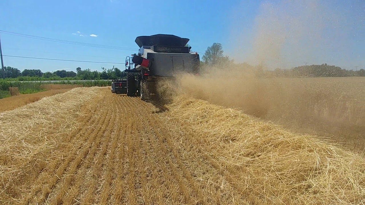 Vidéo externe