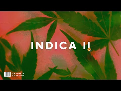 Dancehall Riddim Instrumental 2021 ~ "Indica II"