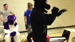 preview picture of video 'Kentucky Furs November FurBowl'