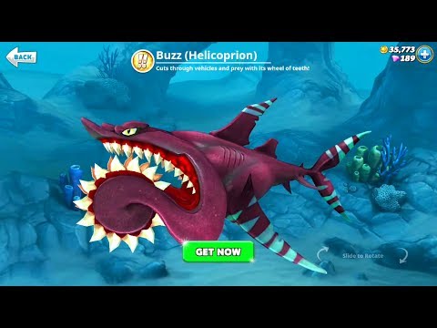 THE SHARK WEEK UPDATE  - NEW SHARK HELICOPRION BUZZSAW KILLER