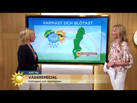 Så bra blir augustivädret: "Tummen upp" - Nyhetsmorgon (TV4)