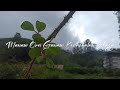 Unnai Medhu ️ Medhuvaga Payanangal Pola Thodangidava Tamil Nature HD Love WhatsApp Status Haky
