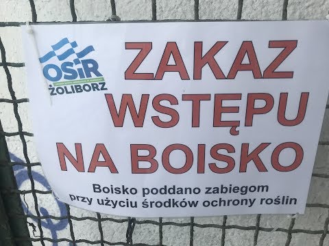 1/któraśtam PP: Bar Ulubiona ETV - Kartofliska