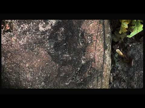 in darkness/samosad bend. video - Psydocfilm