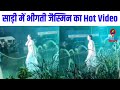 Jasmin Bhasin Hot Rain Dance In White Saree Watch Full Video