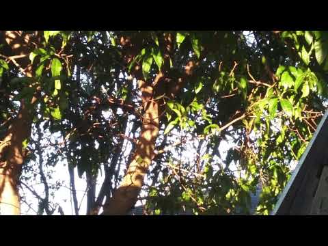 Blessing [Prod : @CartierCam]