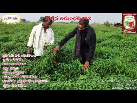 MELYNA ARUNDHATHI 142