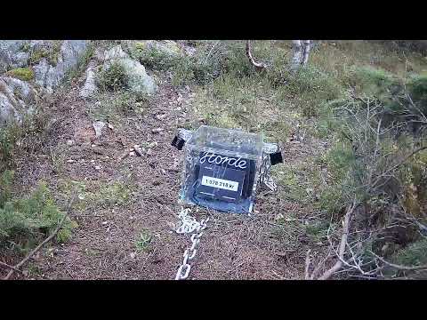 David Kvindesland Live Stream