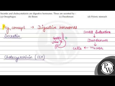 Secretin and cholecystokinin are digestive hormones. These are secr...