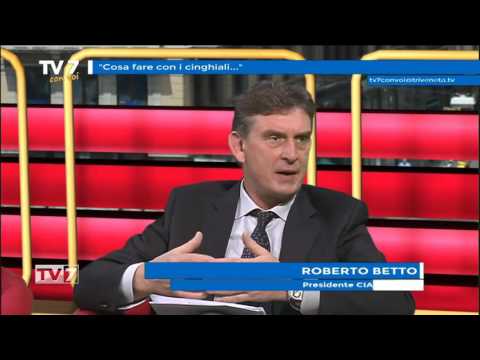 Tv7 con Voi del 26/10/2016 - Cosa fare con i cinghiali (1 di 3)