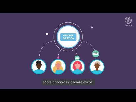 FAO's Roadmap on where to go when in need (Spanish subtitles)