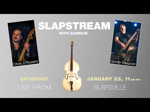 BRIAN SETZER's Slap Bass CHRIS D'ROZARIO - Slapstream with Djordje #33