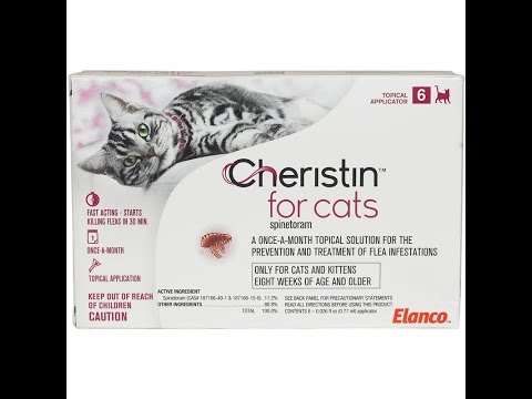 Cheristin for Cats