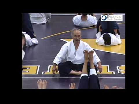 Cultivating An Aikido Body, Part 1: Centeredness – Biran Online