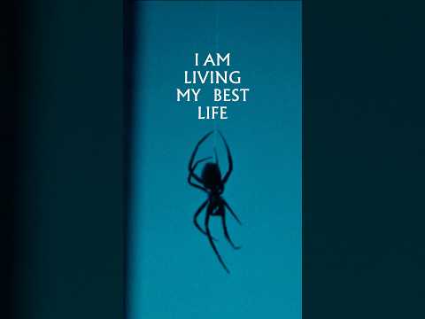 Live your best life with ‘Crawlers’.