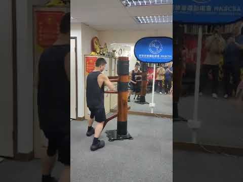 HKSCSA 本會程教練詠春木人樁練習 #商場表演 #dance #派對演出