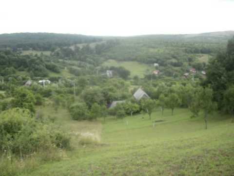 Orsova Padure Judetul Mures