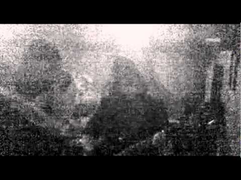 acceptus noctifer_mpeg2video.mpg