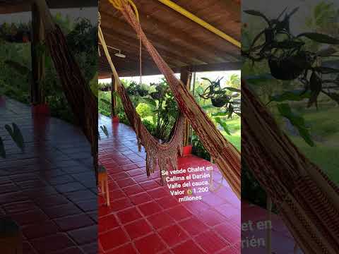 vendo hermoso Chalet en Calima el Darién Valle del Cauca. Valor 💰1.200 millones.