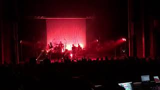 BTBAM - Fossil Genera (Live) 2/19/19