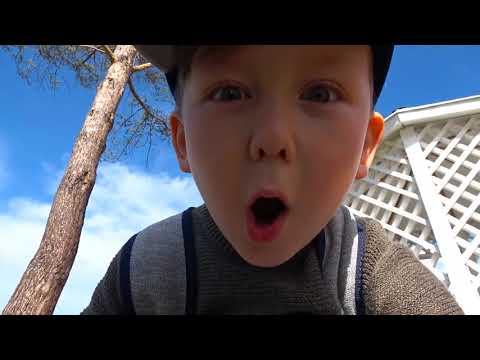 Barbecue ! Elsa and Anna toddlers   BBQ contest   Barbie   ketchup   hotdog burgers   picnic   food