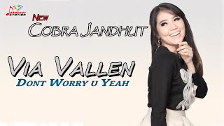 Download lagu Via Vallen - Don't Worry U Yeah! mp3