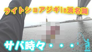 浜名湖でのライトショアジギング（サバ時々リ〇ルゴー〇ド）