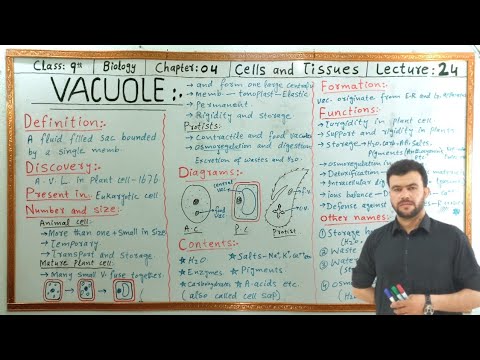 Vacuole Class 9 in Pashto | Plant Vacuoles vs Animal Vacuoles | Structure and Functions of Vacuol