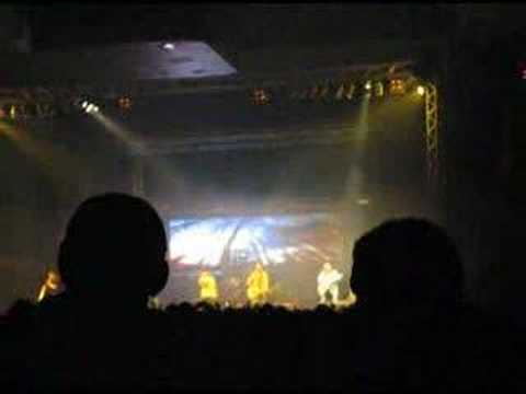 Divokej Bill - Stromy