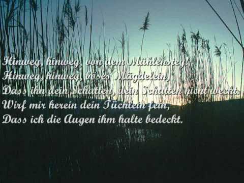 Des Baches Wiegenlied - Hannes Wader singt Schubert