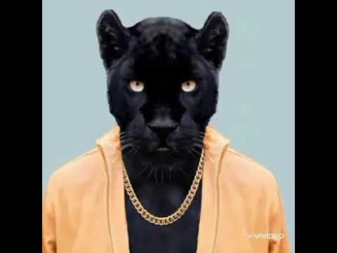 Smoka - Sa Société