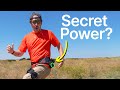 Mountain Hike Budget Challenge