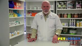 How to Tell if an Online Pet Pharmacy is Safe
