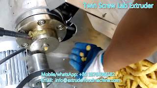 Jinan Saibainuo Small Tvp Protein Snacks Pet Food Laboratory Test Lab Twin Screw Extruder Machine youtube video
