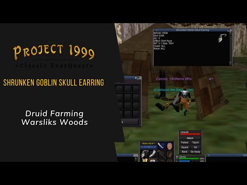 Everquest P99 - Druid Farming: Shrunken Goblin Skull Earring!