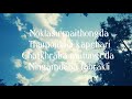 WhatsApp New Status Manipur Sad Song