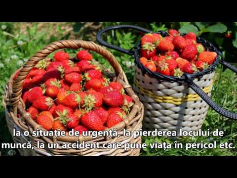 LUCRUL  CU  VALIDAREA