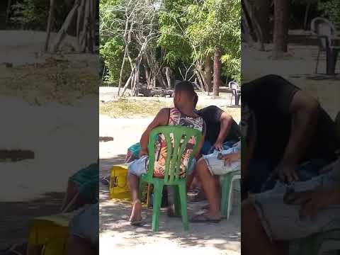 VESPERAL EM MEÃO PERI MIRIM, MUSICAL MORENINHO LION STANLEY, SEQUÊNCIA CÉLIO BROWN