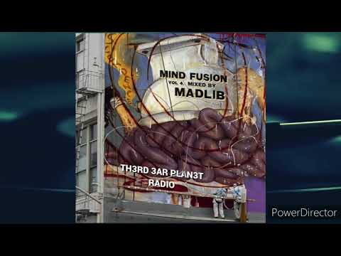 Madlib "Mind Fusion #4"