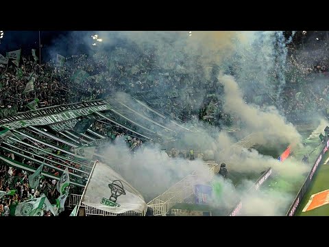 "HOY SOMOS CAMPEONES | Octavo título de copa Colombia | Único en ganar 8 de 8 | VAMOS NACIONAL" Barra: Los del Sur &bull; Club: Atlético Nacional &bull; País: Colombia