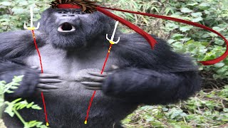 Download lagu Sengoku Basara X Sanada Yukimura Character Overview mp3