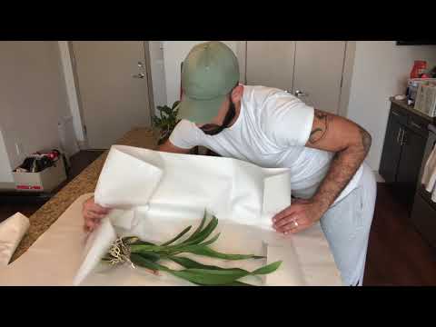 Packing and Shipping my Orchid Collection: Semi-Hydroponics